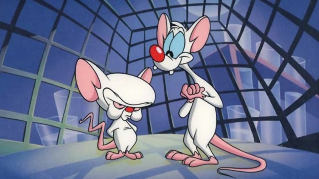 Pinky and the Brain / Pinky and the Brain