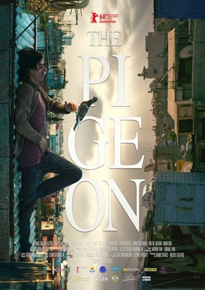 მტრედი / The Pigeon