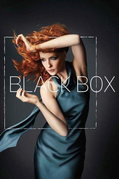 შავი ყუთი / Black Box